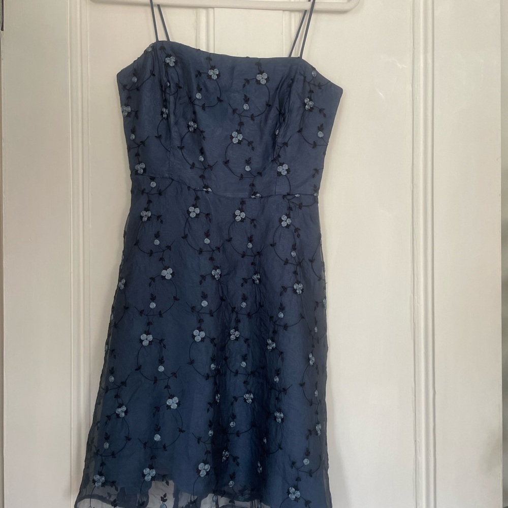 Floral Embroidered Blue Dress